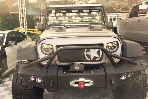 Picture of a Spartan Star Style Angry Grille Matte black Number 2